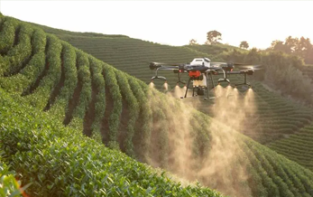 农业农村部 最高人民法院 最高人民检察院 工业和信息化部 公安部 市场监管总局 供销合作总社关于印发《2026年全国农资打假和监管工作要点》的通知