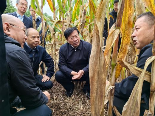 韩俊在河南调研时强调 全力抓好秋收秋种服务保障 提升农业防灾减灾救灾能力