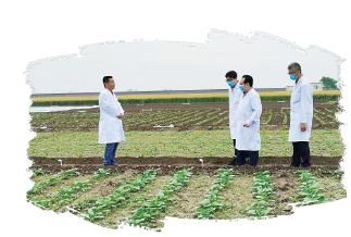 生物农药方兴未艾蕴新机